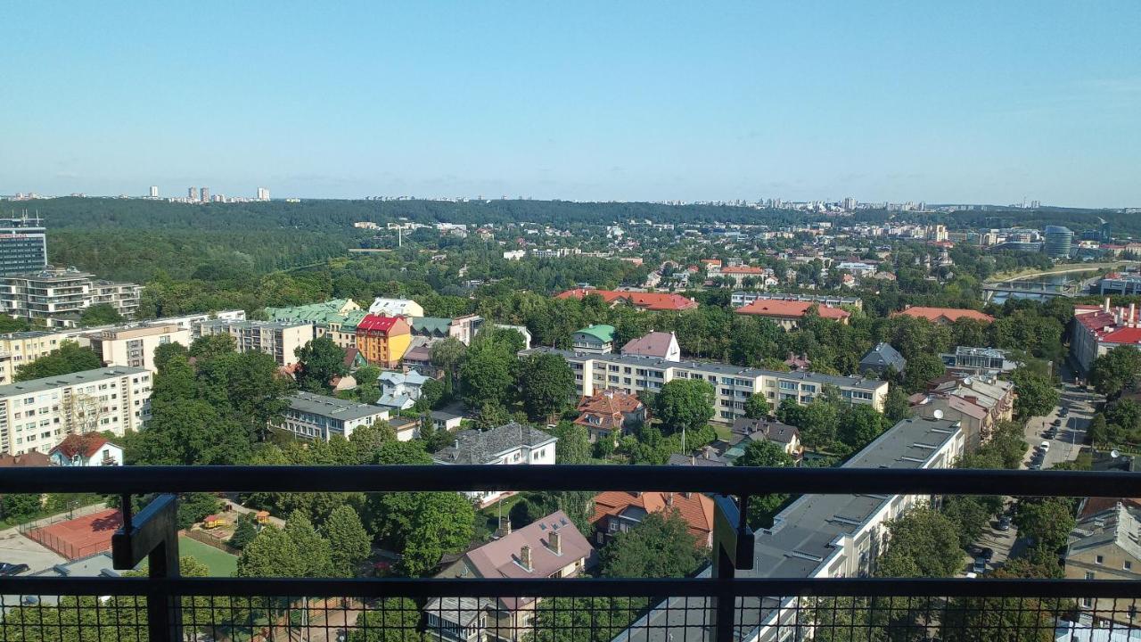Luxury In Skyscraper Vilnius